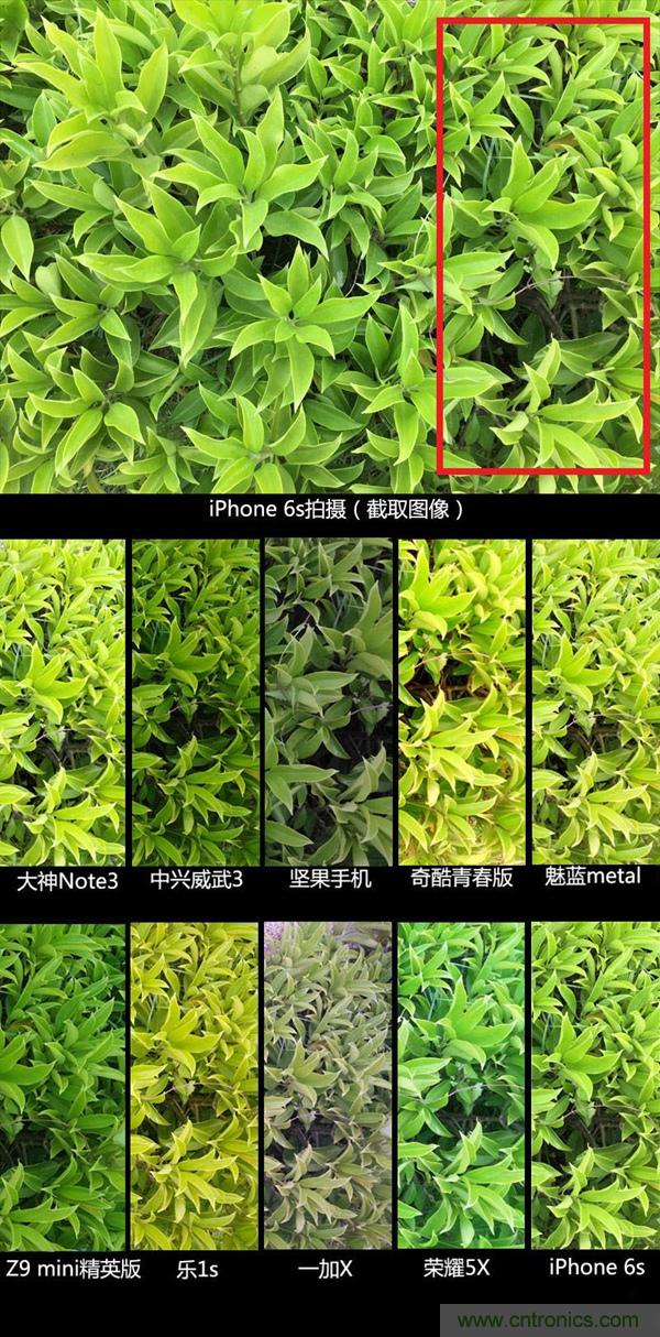 2015年9款千元智能手機橫評：誰才是紅海霸主？