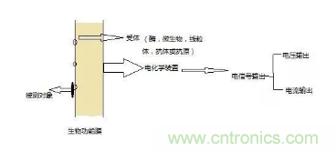 仿生傳感器的定義、原理、分類及應(yīng)用