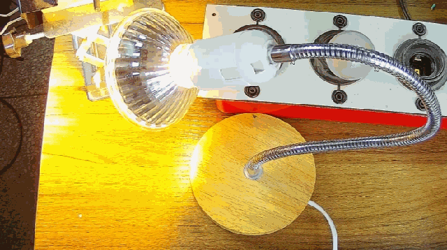 電燈泡內(nèi)通有交流電，為什么看不到燈泡在閃爍？
