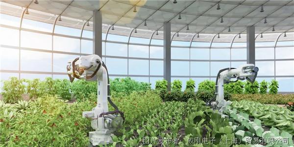 智慧農(nóng)業(yè)大有可為，“數(shù)字種地”更輕松